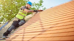 Best Roof Leak Repair  in Craigsville, WV